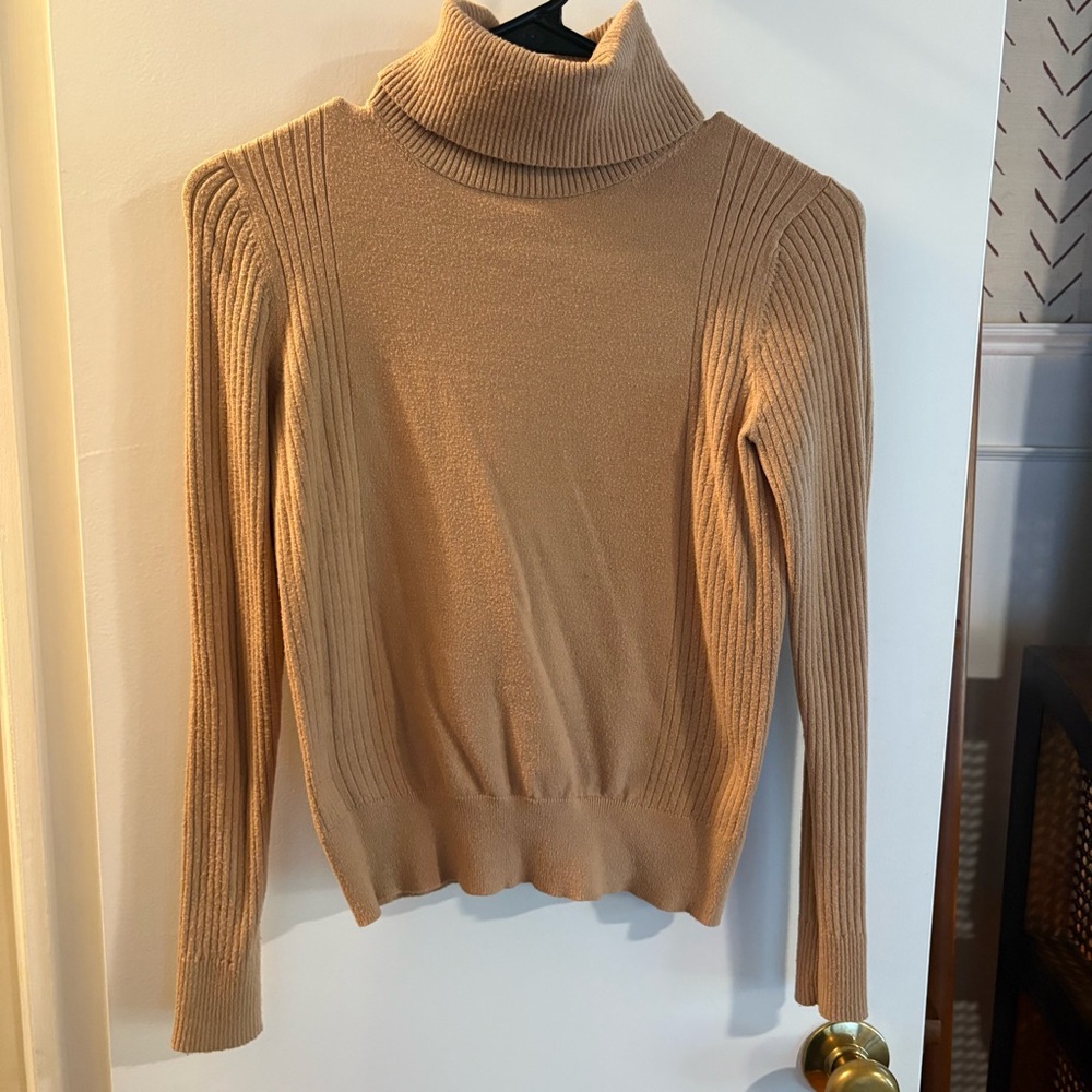 Ann Taylor | Turtle-Neck Long Sleeve Sweater